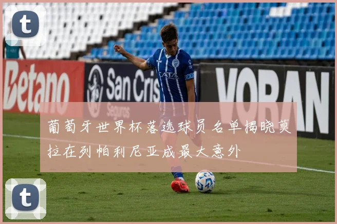 葡萄牙世界杯落选球员名单揭晓莫拉在列帕利尼亚成最大意外